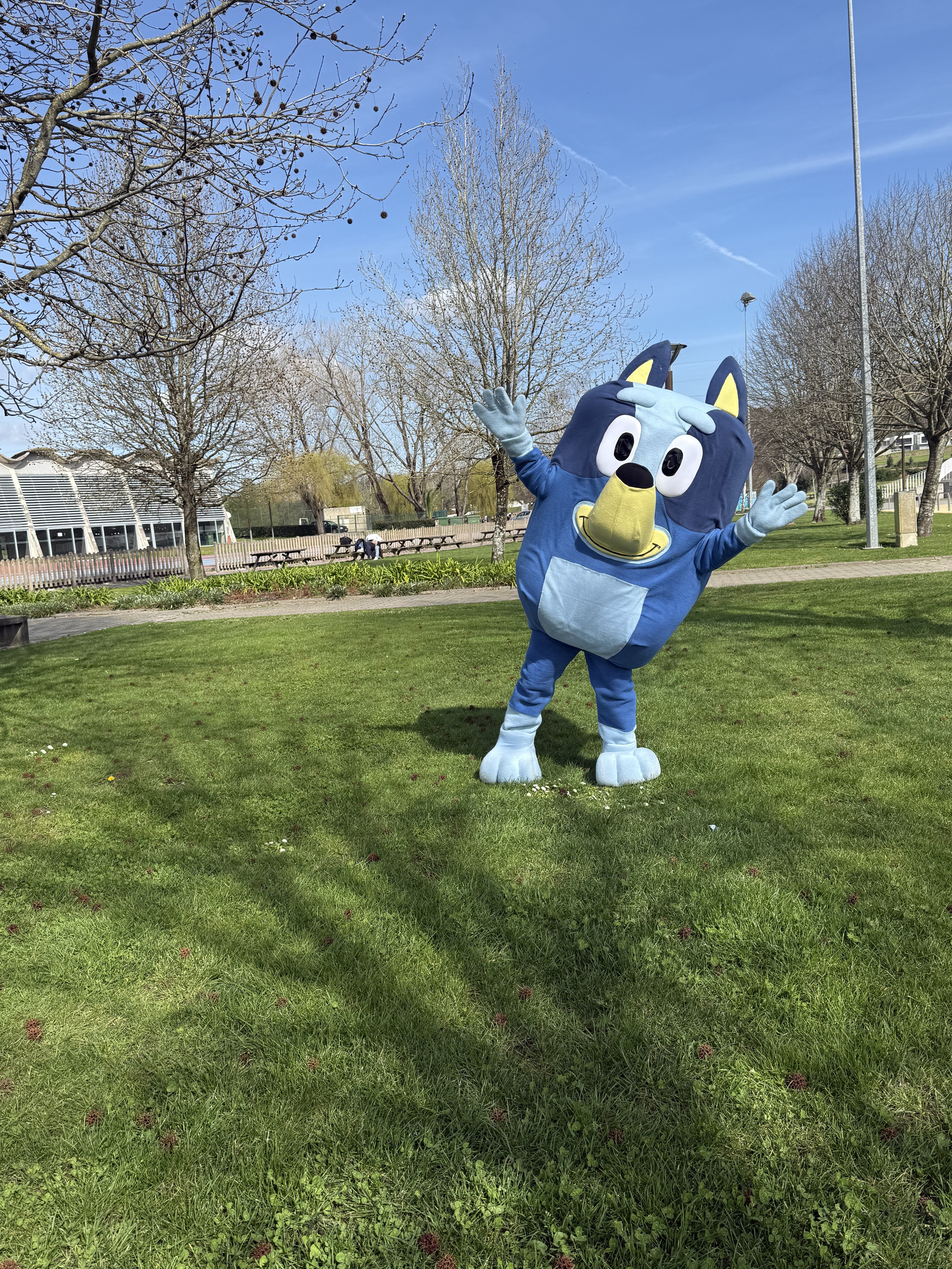 Bluey