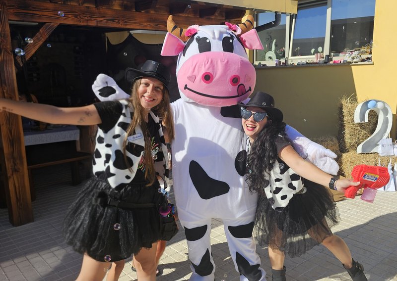 vaca lola é a melhor